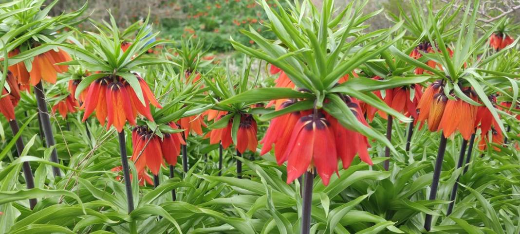 Bu insanlar neye bakıyor? Gece-gündüz nöbet tutuyorlar, ilk kez görenler şaştı kaldı! 39